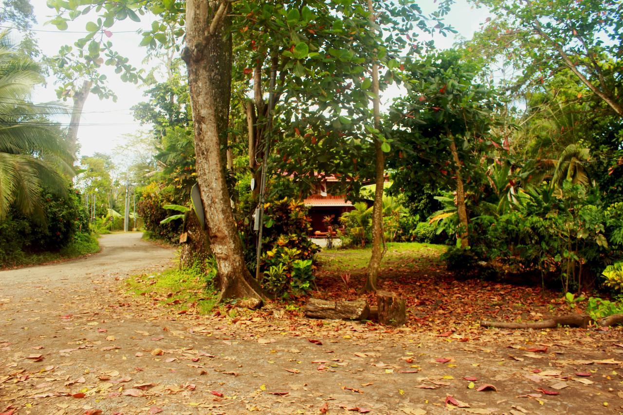 Casa Natural Puerto Viejo Hotel Puerto Viejo de Talamanca ภายนอก รูปภาพ